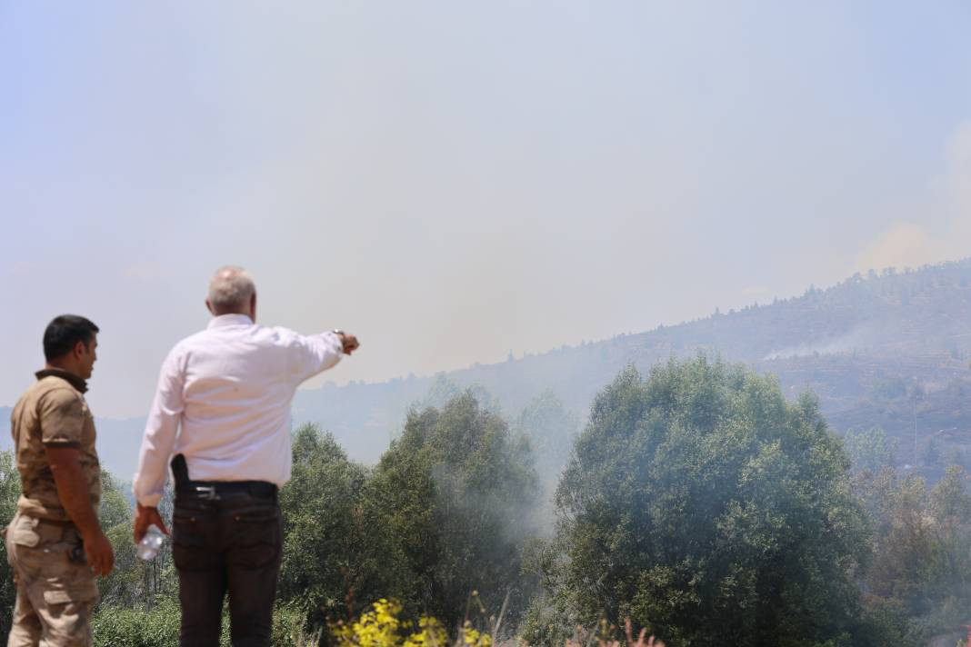 Elazığ'da orman yangını - Resim: 13